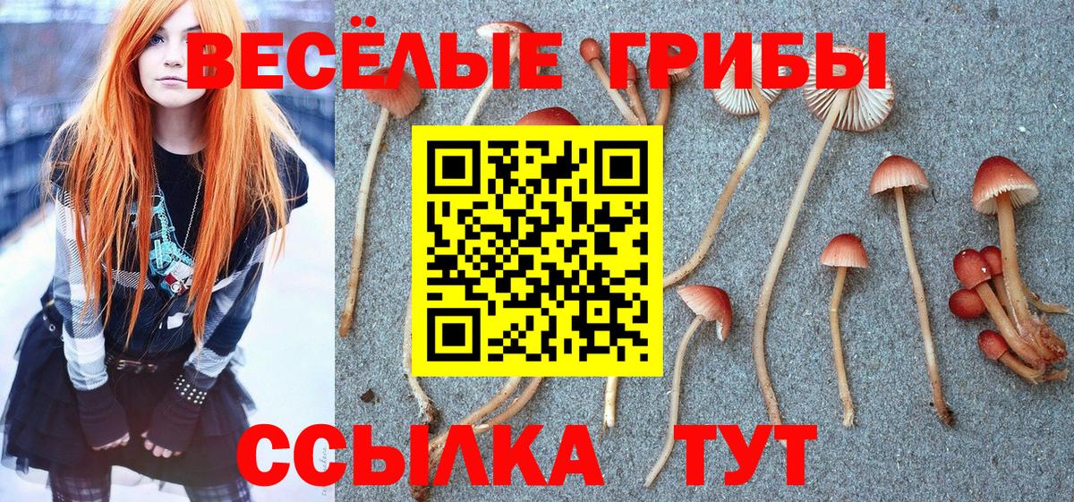 Псилоцибиновые грибы Psilocybine cubensis  Псилоцибиновые грибы мицелий  Вход с VPN  Юрга 